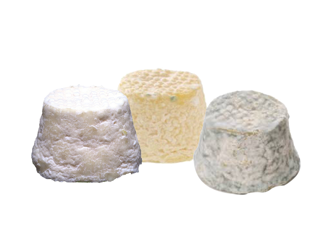 AOP Mâconnais - SYNDICAT de défense du FROMAGE de CHEVRE MÂCONNAIS