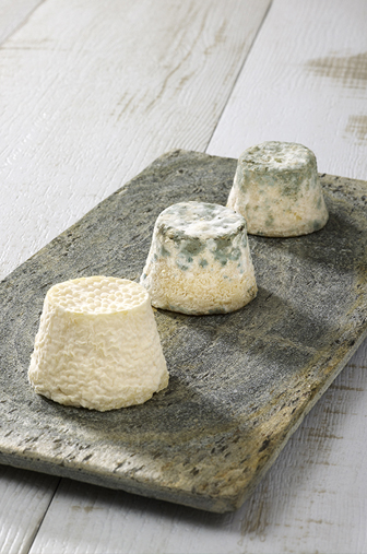 Fromage Le Mâconnais